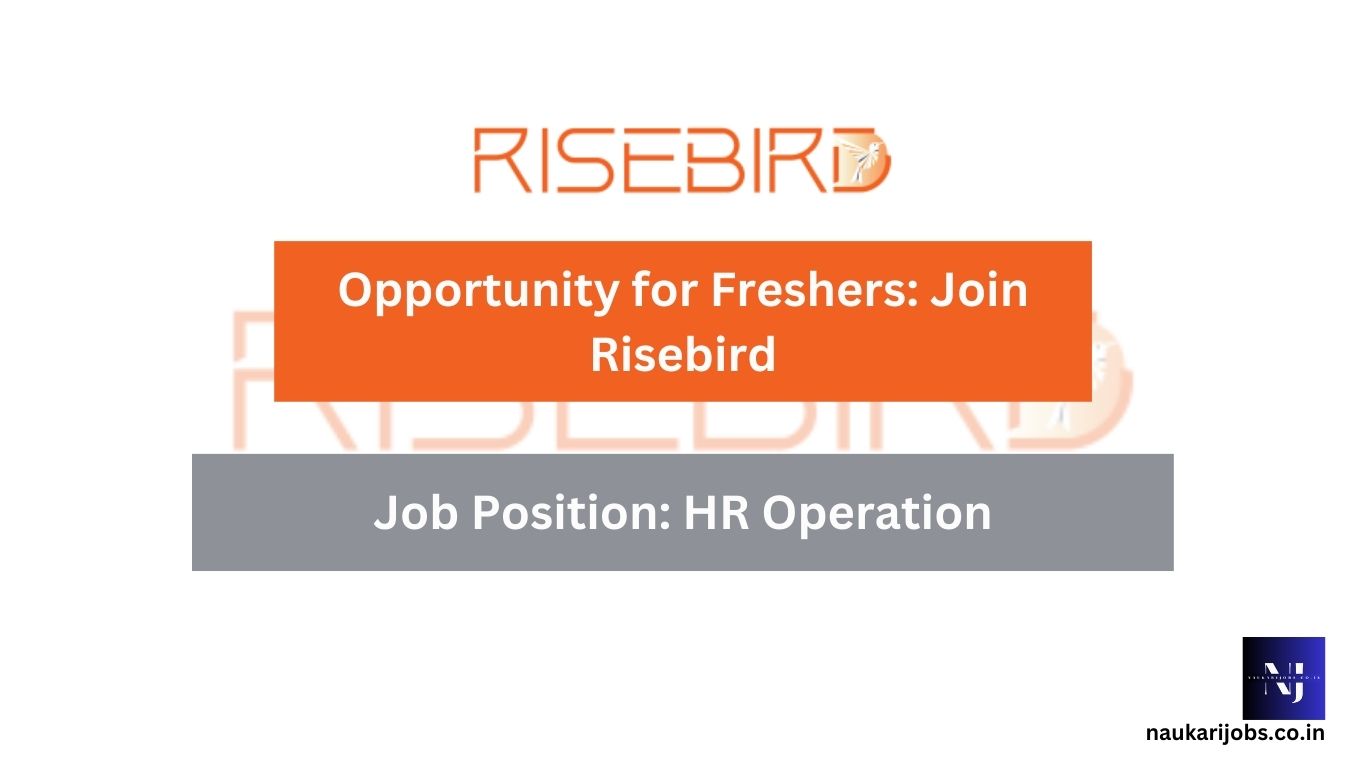 Opportunity for Freshers Join Risebird 2